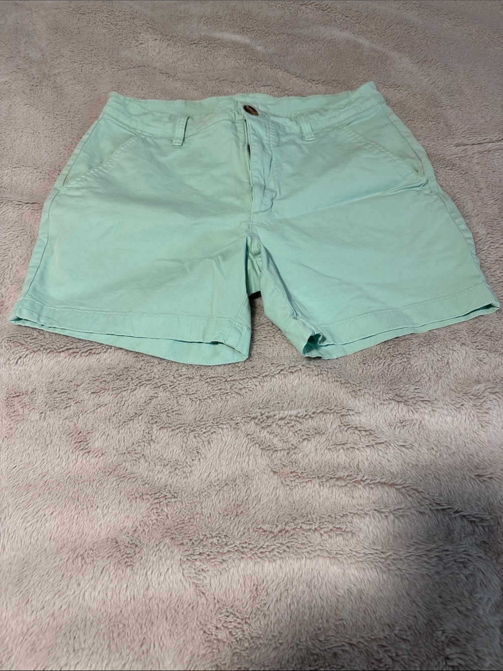 Chubbies mint flat front shorts